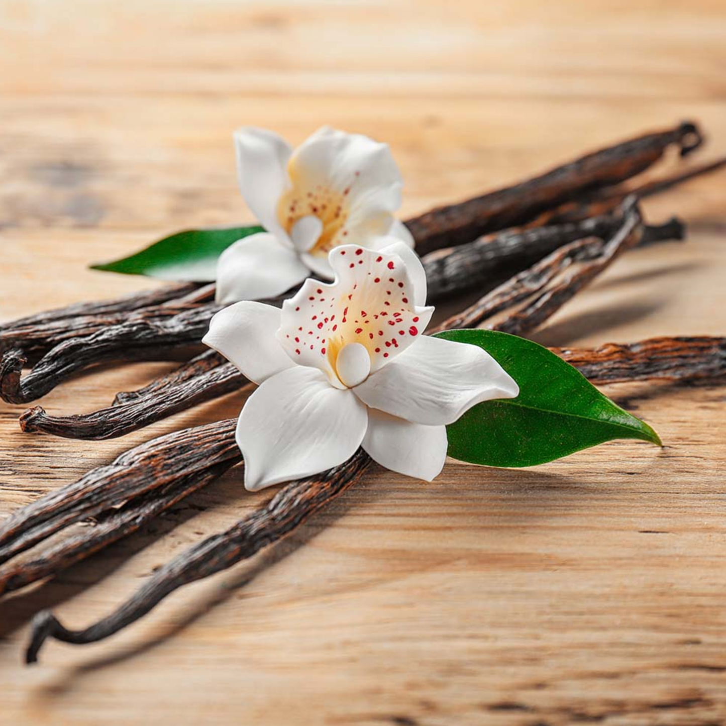 Essbee Bath and Body - Cedarwood & Vanilla Roll-On Perfume Oil