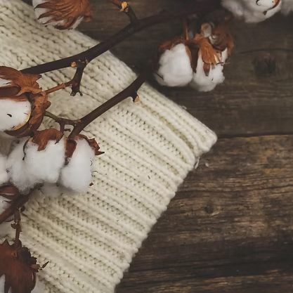 Essbee Bath and Body - Cashmere & Cream Ultra Moisturizing Body Butter